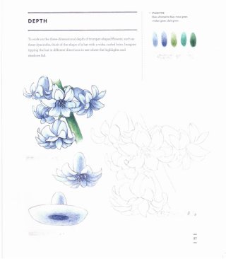Hiacinth page 2